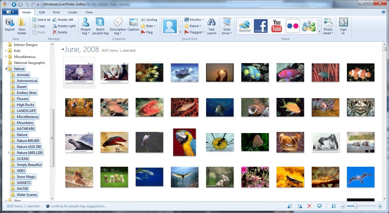 Windows Live Photo Gallery (2012)